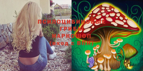 PSILOCYBIN Беломорск