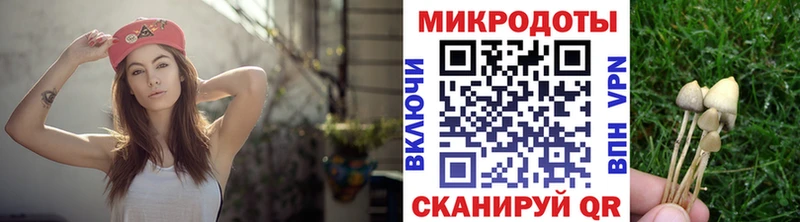 где найти наркотики  Клинцы  Галлюциногенные грибы Psilocybine cubensis 